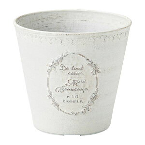 Aؔ  FV/~eBR[SW/MS724y01z K[fjOE|pi t[|bg 