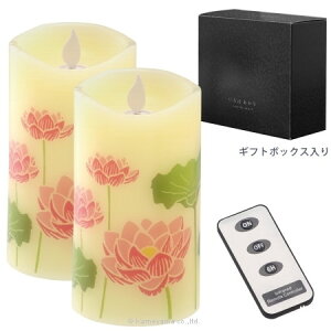 �J�����}/�i�� ����͂����� �@�n�i/S76861010�y07�z[2��] �L�����h���A�A���} LED�L�����h�� LED�������L�����h�� �낤���� ���C�g ���d ������ ������̓�