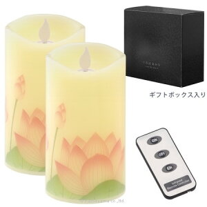 �J�����}/�i�� ����͂����� �@�c�{�~/S76861020�y07�z[2��] �L�����h���A�A���} LED�L�����h�� LED�������L�����h�� �낤���� ���C�g ���d ������ ������̓�
