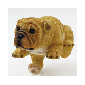 ۘaf/`AttY uhbÑ`[[/100370302y07z K[fjOE|pi K[fjOG݁EI[ig uEI[ig