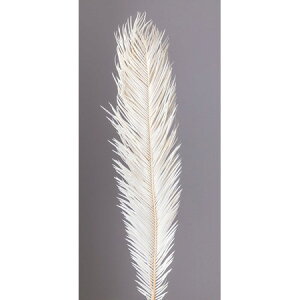 yvU[uhzn_/\ec 2{ ItzCg/00120-011y01z vU[uht[ vU[uhO[ t