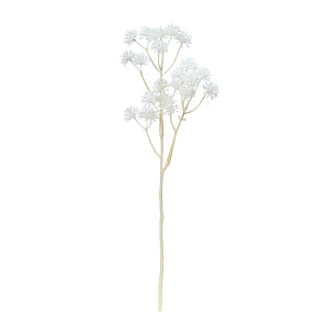 yԁzAXJ/AAXv[×24 zCg/A-34134-1y01z X܃fBXvCEX G t@bV