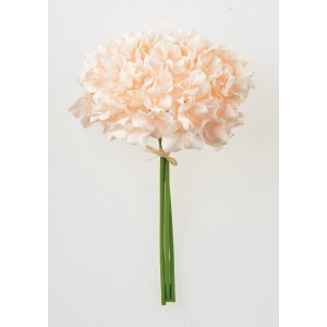 yԁzAXJ/nChWAo`(13{) \tgsN/A-34127-3Sy01z ԁiA[eBtBVt[j  ԍށusv izԁj