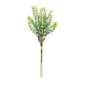 楽天市場 ナズナ 花 観葉植物 花 ガーデン Diy の通販