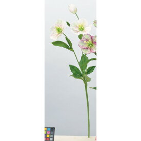 楽天市場 クリスマスローズ アスカ 造花の通販 楽天市場 クリスマスローズ アスカ 造花の通販