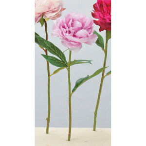 yԁzAXJ/sIj[ p[v/A-32373-7y01z ԁiA[eBtBVt[j  ԍށusv VNNi䉖jE{^iOjEsIj[