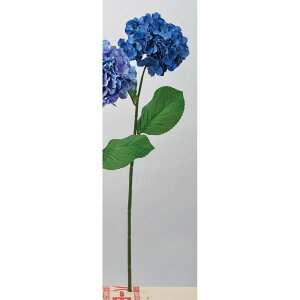 yԁzAXJ/nChWA u[/A-34101-9y01z ԁiA[eBtBVt[j  ԍށusv izԁj