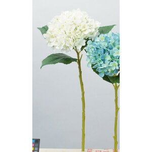 yԁzAXJ/nChWA zCg/A-34116-1y01z ԁiA[eBtBVt[j  ԍށusv izԁj