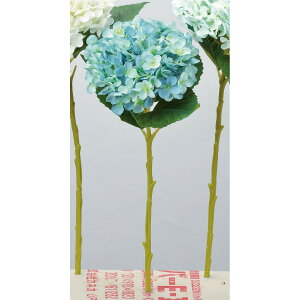 yԁzAXJ/nChWA u[/A-34116-9y01z ԁiA[eBtBVt[j  ԍށusv izԁj