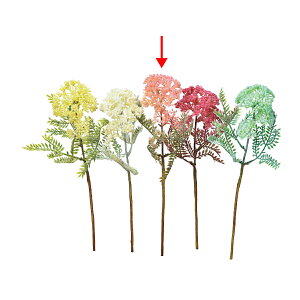 yԁzAXJ/mRM\E CgsN/A-34135-13y01z ԁiA[eBtBVt[j  ԍށusv ALA