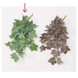 yԁzAXJ/[vubVoC O[/A-43626-51Ay01z ԁiA[eBtBVt[j Ԏ} ~WEC`E