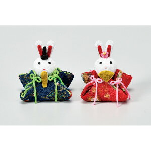 AXJ/߂e(2A\[g)/A-79131y01z ԎށEt[Xg fR[Vp[cEf afށEp[c