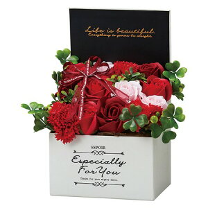 �y�\�[�v�t�����[�z����z�r�[/�G���K���g�V���{��BOX M ���b�h/GM-4482�y01�z �v���U�[�u�h�t�����[ �t���O�����X�\�[�v�t�����[ �\�[�v�t�����[�����i�M�t�g �v���[���g �t �� ������ ������