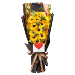 y\[vt[zzr[/Ђ܂V{u[PL/GM-3911y01z vU[uht[ tOX\[vt[ \[vt[i