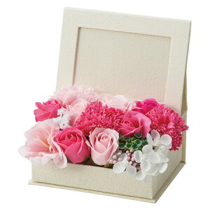 y\[vt[zzr[/V{t[tHgt[BOX sN/GM-4134y01z vU[uht[ tOX\[vt[ \[vt[i