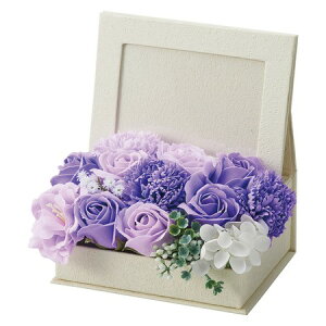 y\[vt[zzr[/V{t[tHgt[BOX p[v/GM-4135y01z vU[uht[ tOX\[vt[ \[vt[i