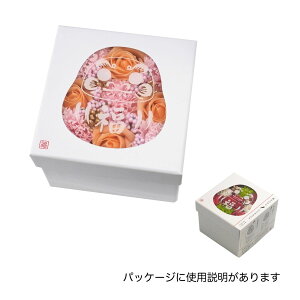 y\[vt[zGREENHOUSE/NY߂܃\[vt[{bNX sN/NY274-PKy01z vU[uht[ tOX\[vt[ \[vt[i