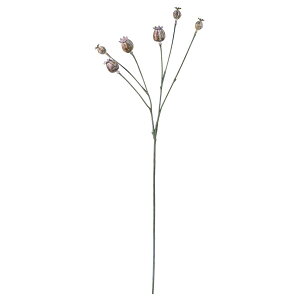 yԁzYDM/|s[V[hXv[ XeB[/FG-5125-RUSy01z ԁiA[eBtBVt[j  ԍށu͍sv |s[