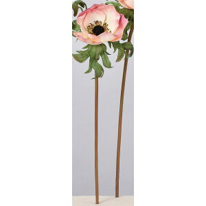 yԁzAXJ/All sN/A-34213-3y01z ԁiA[eBtBVt[j  ԍށusv All