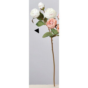 yԁzAXJ/[Y×2 ڂ×1 zCg/A-34216-1y01z ԁiA[eBtBVt[j  ԍށu͍sv o