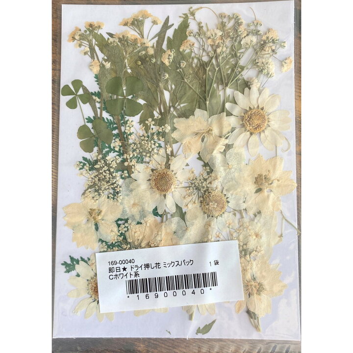 楽天市場 ドライ 押し花 ミックスパックｃ ホワイト系 07 取寄 ドライフラワー 押し花 花材通販はなどんやアソシエ