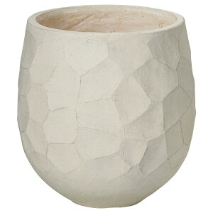 Aؔ  FV/WIg[EhW/GF3848y01z K[fjOE|pi t[|bg OXt@Co[