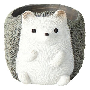 Aؔ  FV/G\T[N|bgS/5E3900y01z K[fjOE|pi t[|bg W