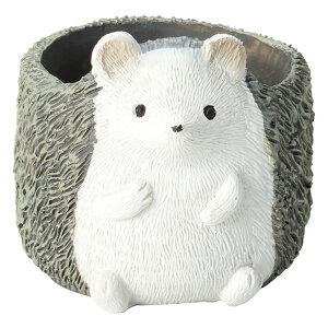 Aؔ  FV/G\T[N|bgM/5E3901y01z K[fjOE|pi t[|bg W