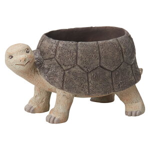 Aؔ  FV/ge|bg/5E3860y01z K[fjOE|pi t[|bg W