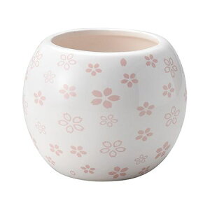 zr[/{|bg /SP-1290y01z[6] ԊA[X ԊEԕr Ԋ