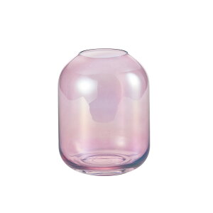 Paseo/I[KX/AR-12BDy01z[2P] ԊA[X ԊEԕr ֑}Eԕr