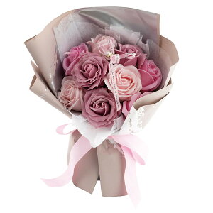 y\[vt[zPaseo/ԕobNt{[u[P i^j/SP-43PKy01z vU[uht[ tOX\[vt[ \[vt[i