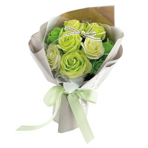 y\[vt[zPaseo/ԕobNt{[u[P iN^j/SP-43GRy01z vU[uht[ tOX\[vt[ \[vt[i