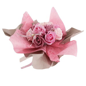 y\[vt[zPaseo/ԕ̂܂܏u[P i^j/SP-45PKy01z vU[uht[ tOX\[vt[ \[vt[i