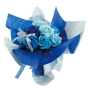 y\[vt[zPaseo/ԕ̂܂܏u[P iN^j/SP-45BLy01z vU[uht[ tOX\[vt[ \[vt[i