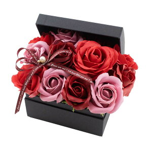 y\[vt[zPaseo/ԕ[YςBOX i^j/SP-48RDy01z[2P] vU[uht[ tOX\[vt[ \[vt[i