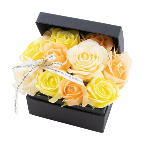 y\[vt[zPaseo/ԕ[YςBOX id^j/SP-48YEy01z[2P] vU[uht[ tOX\[vt[ \[vt[i