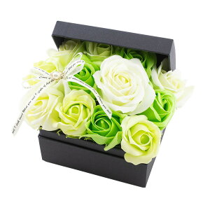 y\[vt[zPaseo/ԕ[YςBOX iN^j/SP-48GRy01z[2P] vU[uht[ tOX\[vt[ \[vt[i