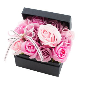 y\[vt[zPaseo/ԕ[YςBOX i^j/SP-48PKy01z[2P] vU[uht[ tOX\[vt[ \[vt[i