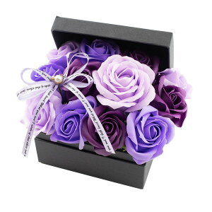 y\[vt[zPaseo/ԕ[YςBOX i^j/SP-48PRy01z[2P] vU[uht[ tOX\[vt[ \[vt[i