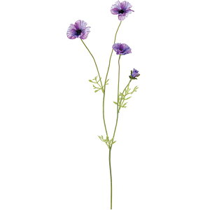 yԁzYDM/XCOAllXv[ p[v/FA-7072-PUy01z ԁiA[eBtBVt[j  ԍށusv All