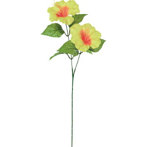 yԁzYDM/nCrXJXXv[ CG[/FS-8339-Yy01z ԁiA[eBtBVt[j  ԍށu͍sv nCrXJX