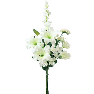   yԁzYDM/zCgt[gL zCg/FP-0954-Wy01z dp p  tďH~