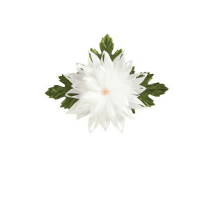 {/LN{L 12cm 001 5R zCg/36-81018-1y01z { H{ ʃe[v{{