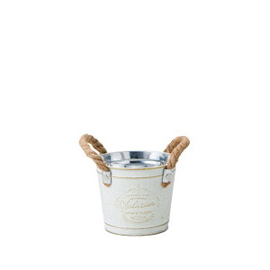 Aؔ  GREENHOUSE/OCXtuL zCg/4869-Ey01z[4] K[fjOE|pi t[|bg ACAEuL