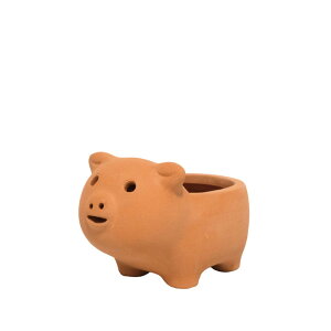 �y�Ζ����ӃZ�[���z�A�ؔ� ������� GREENHOUSE/�A�j�}���e���R�b�^SS/4980-PI�y01�z[4��] �K�[�f�j���O�E���|�p�i �t�����[�|�b�g �e���R�b�^(�f�Ă�)