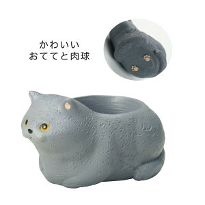 GREENHOUSE/gW|bg 났˂/4902y01z[4] K[fjOE|pi AؔEt[|bg W