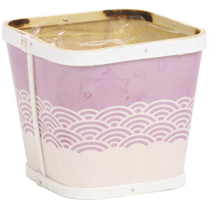 SG Wonder zone/Cg@_3D5p݂F/132-75735-41y07z ԊA[X ԊEԕr ؐԊ