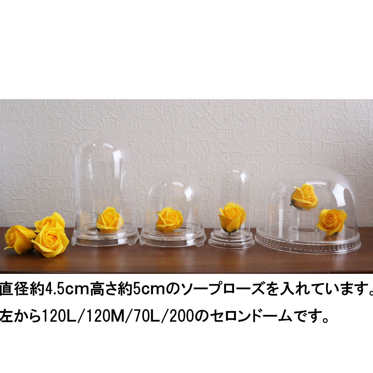 セロン/セロンドームクリア １２０L　　/F6213【01】【取寄】 花器、リース 花器・花瓶 セロンドーム | 花材通販はなどんやアソシエ