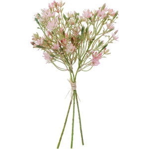 yԁzYDM/Wv\[oh zCgsN/FB-2605-W/Py01z ԁiA[eBtBVt[j  ԍށusv ݑ